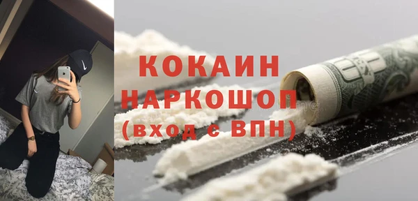 гашик Гатчина
